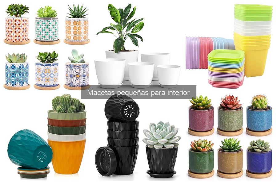 Alternativas a las macetas pequeñas para interior: ¡Descúbrelas!