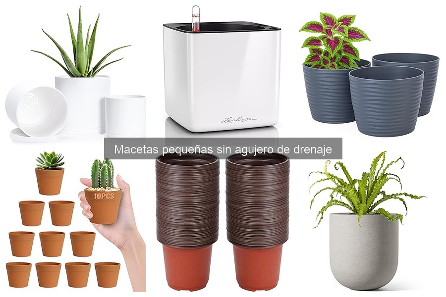 Alternativas a las macetas pequeñas sin drenaje