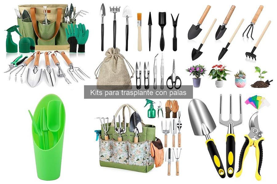 Alternativas a los kits de trasplante de plantas