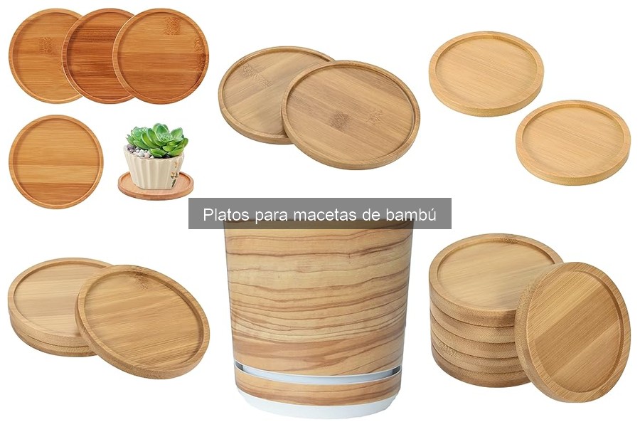 Alternativas a los Platos de Bambú para Macetas