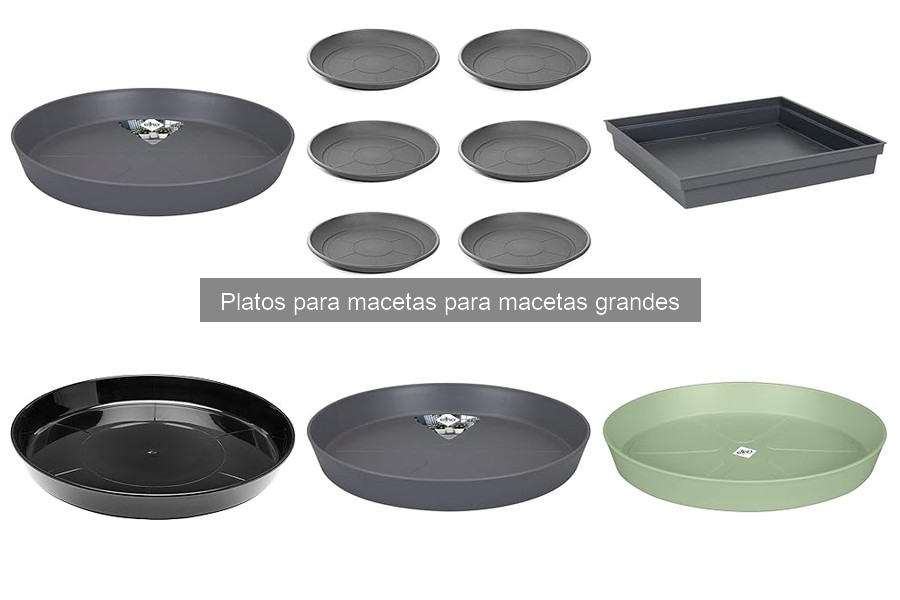 Alternativas a los platos para macetas grandes: Opciones útiles
