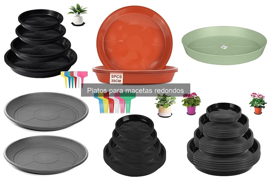 Alternativas a los platos para macetas redondos