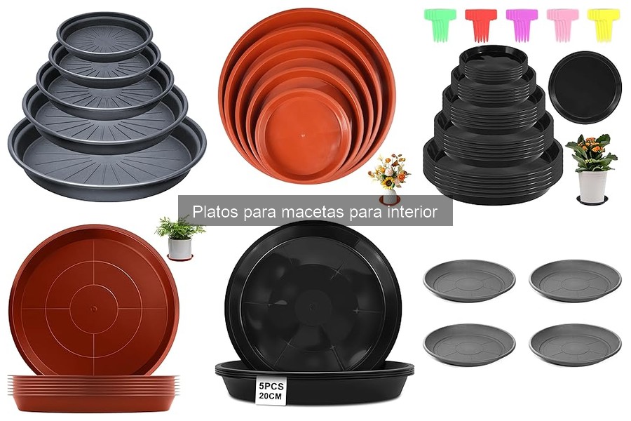 Alternativas a los platos para macetas: soluciones útiles