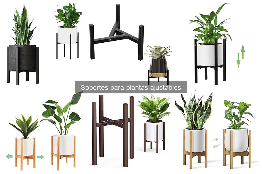 Alternativas a los Soportes para Plantas Ajustables