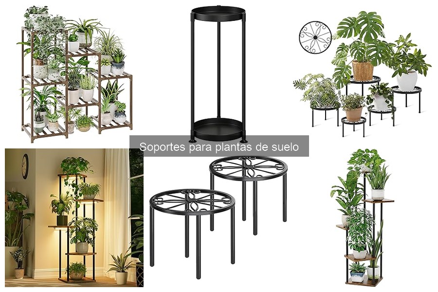 Alternativas a los soportes para plantas de suelo