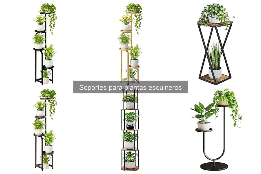 Alternativas a los soportes para plantas esquineros
