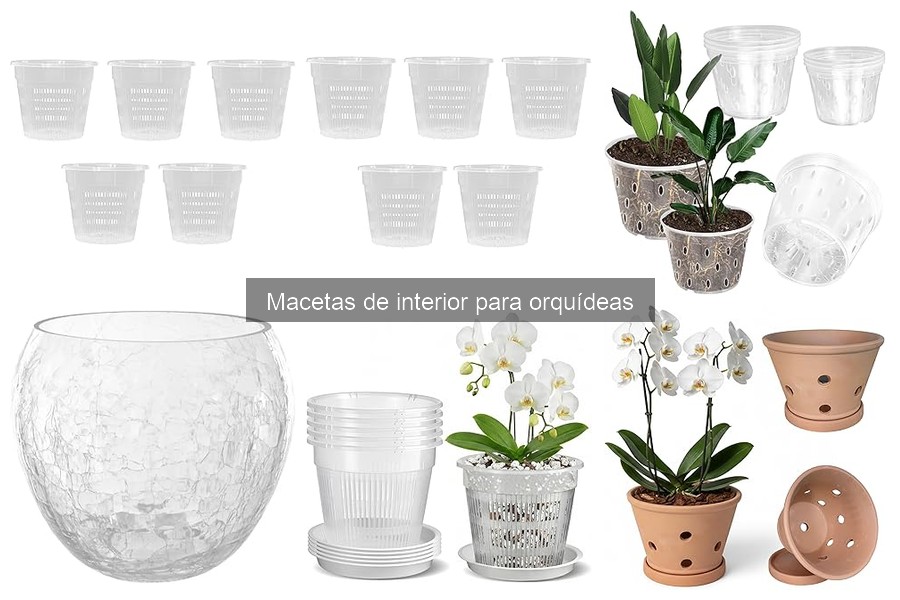 Alternativas a Macetas Clásicas para Orquídeas