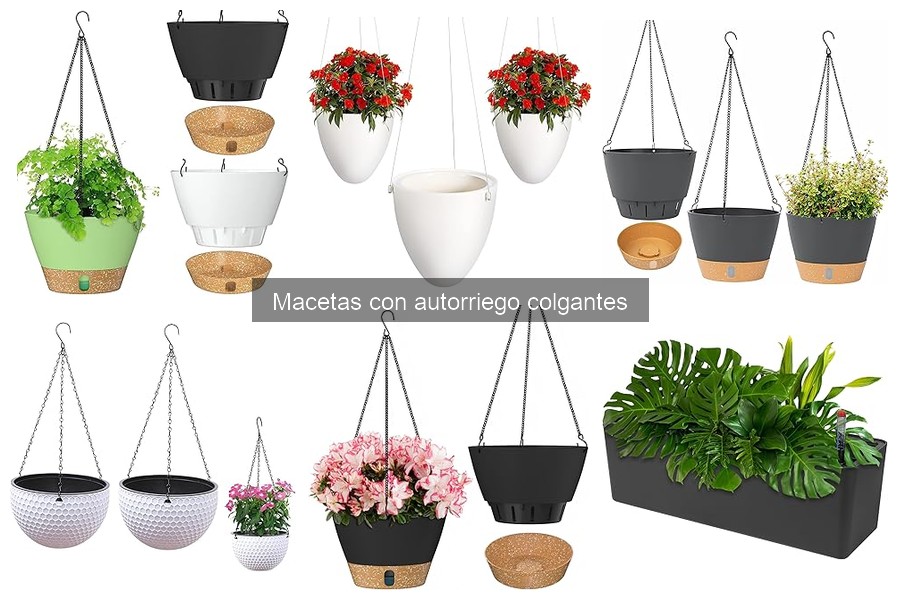 Alternativas a macetas con autorriego colgantes