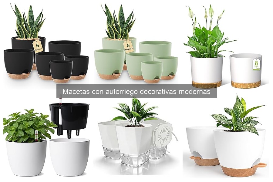 Alternativas a Macetas con Autorriego: Mejores Opciones