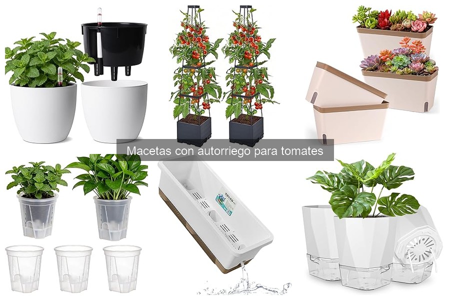 Alternativas a macetas con autorriego para cultivar tomates