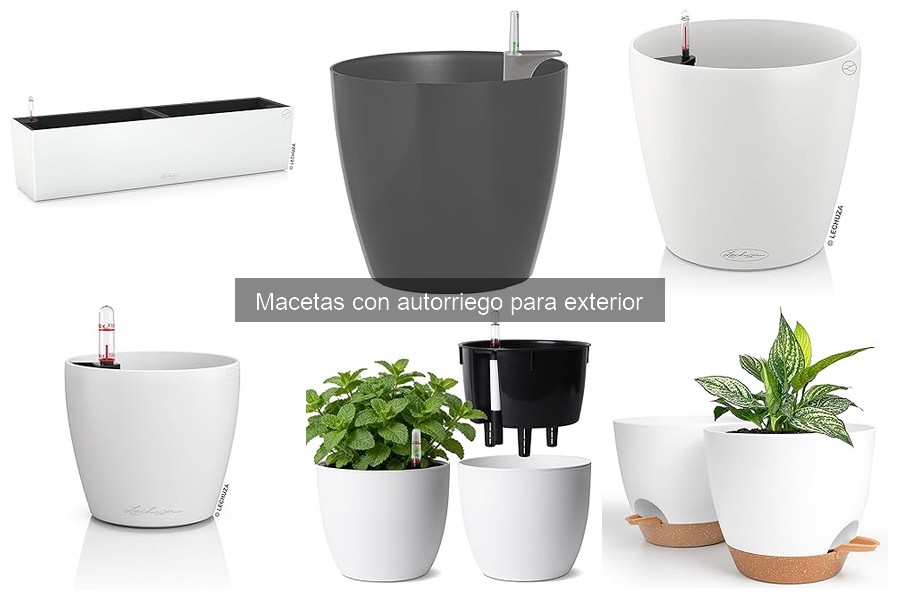 Alternativas a macetas con autorriego para el jardín