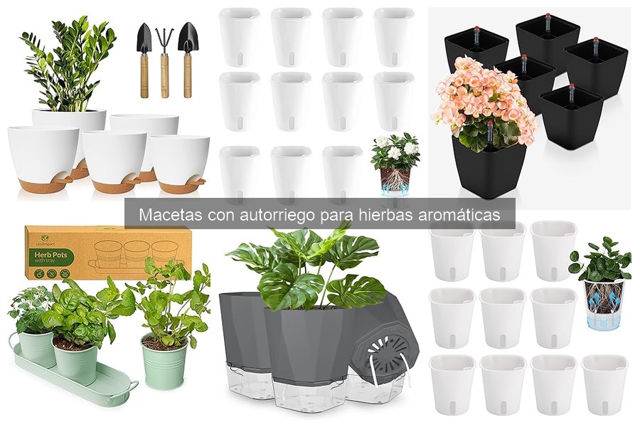 Alternativas a Macetas con Autorriego para Hierbas Aromáticas