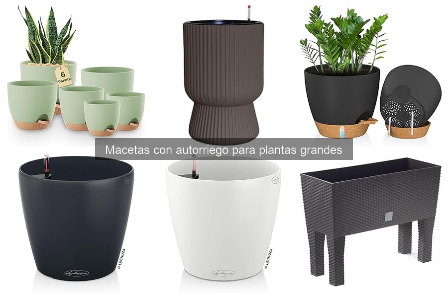Alternativas a macetas con autorriego para plantas grandes