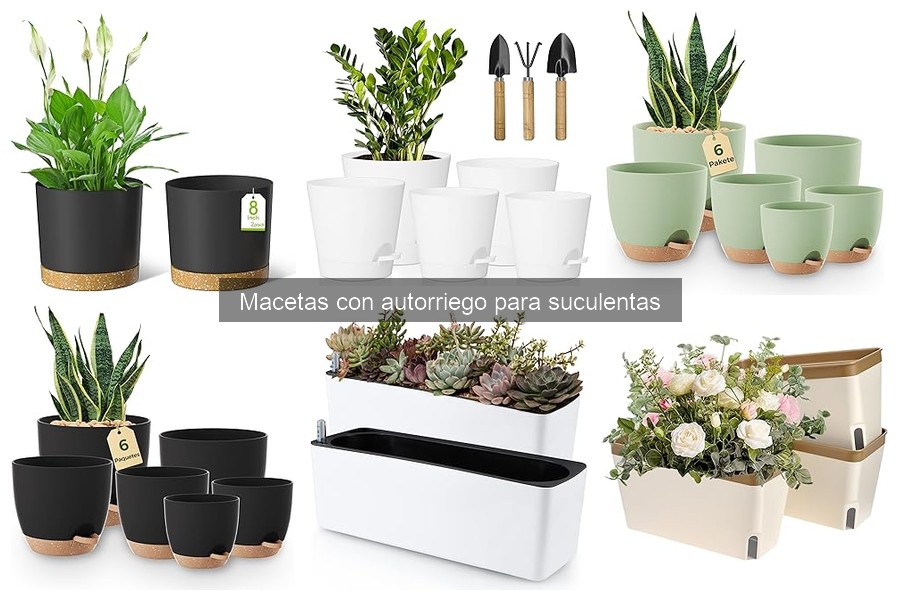 Alternativas a macetas con autorriego para suculentas