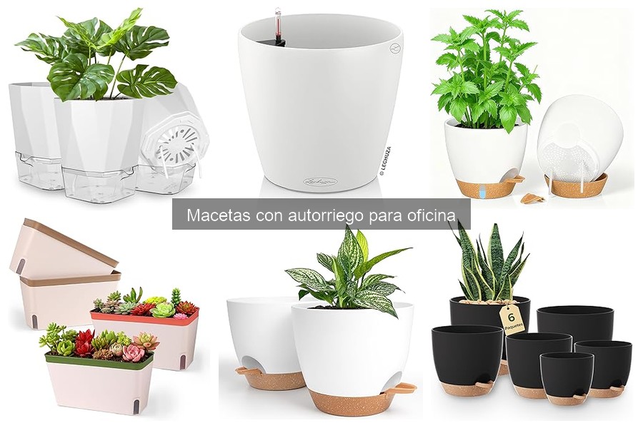 Alternativas a macetas con autorriego para tu oficina