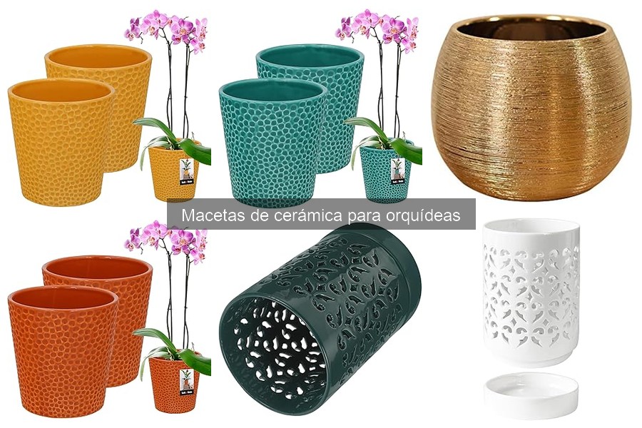 Alternativas a macetas de cerámica para orquídeas