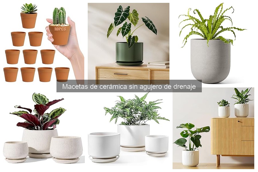 Alternativas a Macetas de Cerámica Sin Drenaje para Plantas