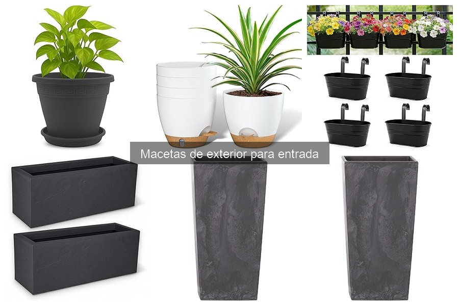 Alternativas a macetas de exterior para entradas