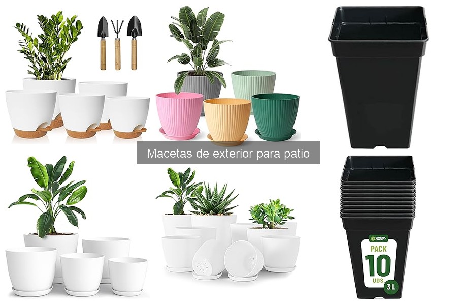 Alternativas a macetas de exterior: soluciones innovadoras