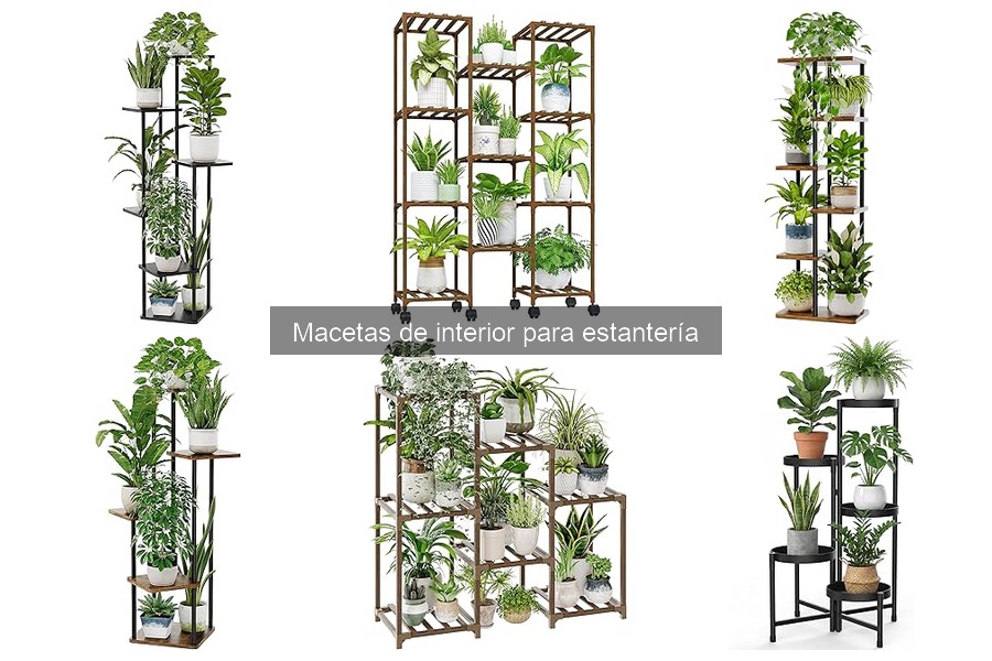 Alternativas a macetas de interior para estantería