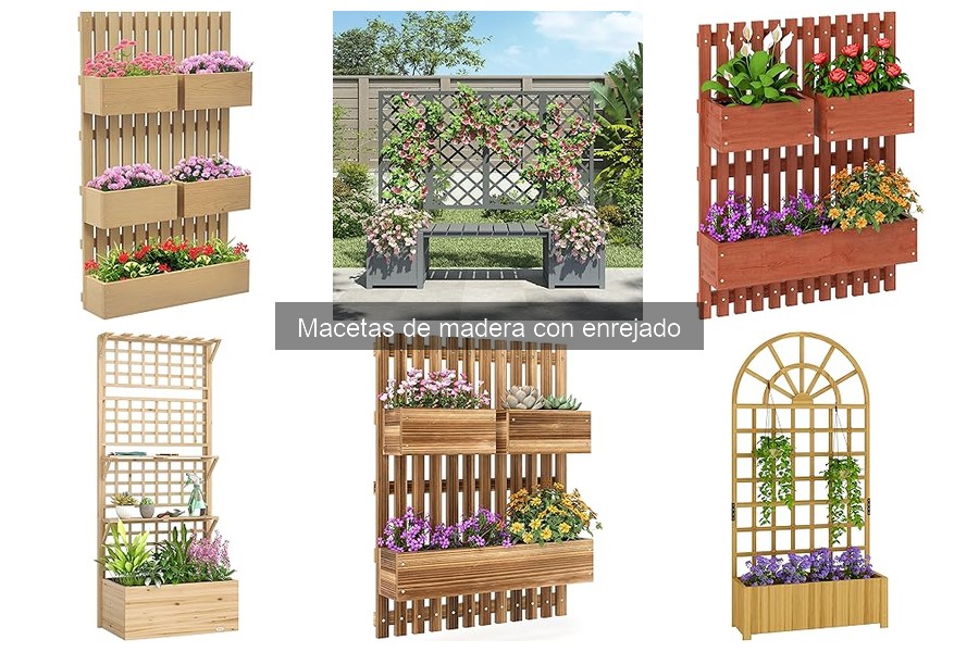 Alternativas a Macetas de Madera con Enrejado: Guía Completa