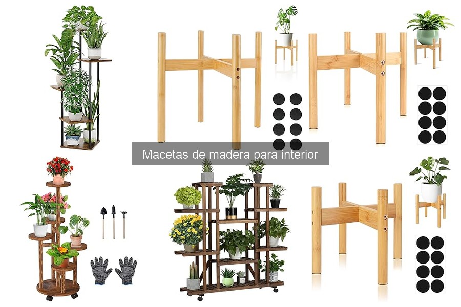 Alternativas a macetas de madera para tus plantas