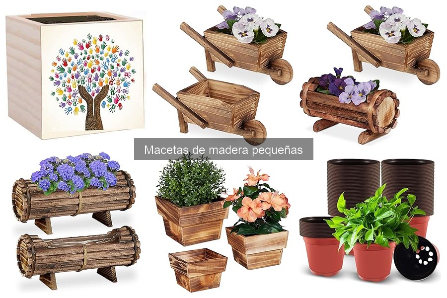Alternativas a Macetas de Madera Pequeñas para Espacios Reducidos