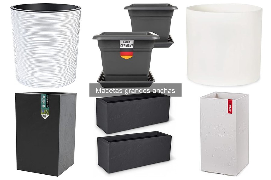 Alternativas a macetas grandes anchas para tus cultivos