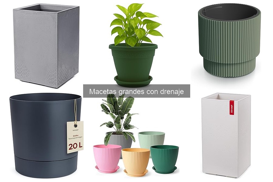 Alternativas a macetas grandes con drenaje para tus plantas