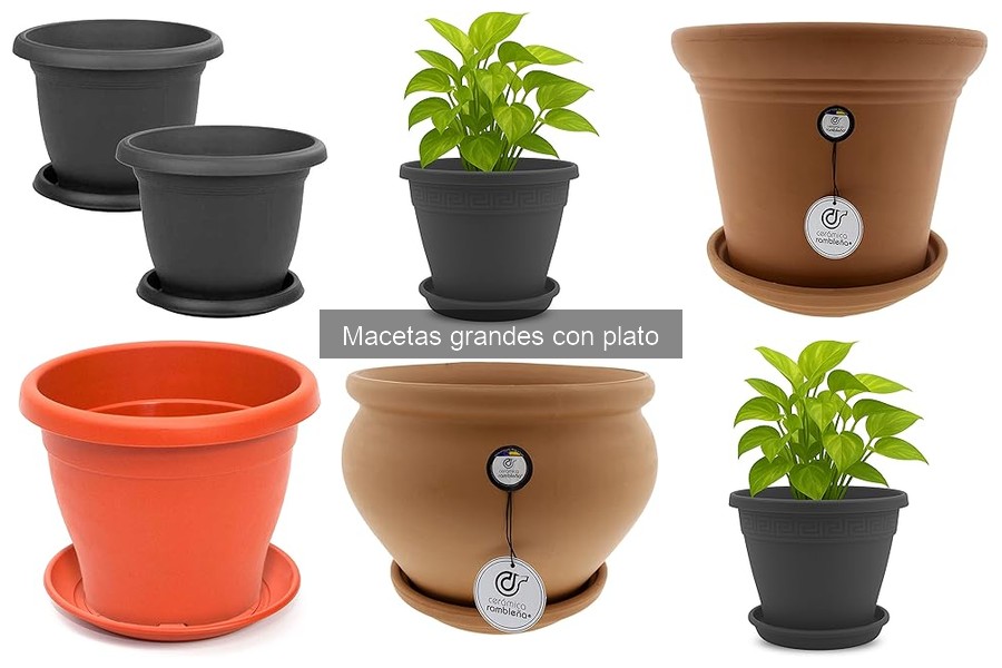 Alternativas a macetas grandes con plato para jardinería