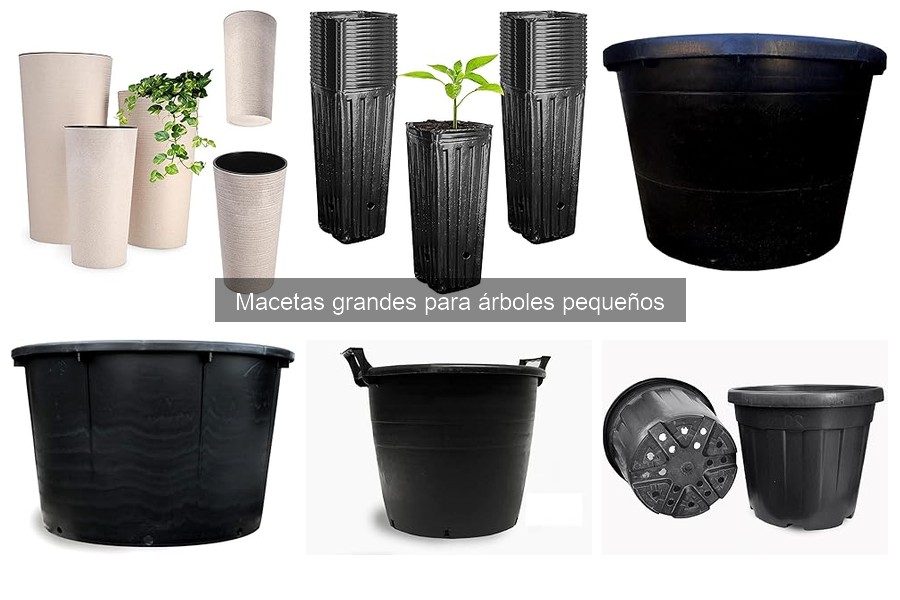 Alternativas a macetas grandes para árboles pequeños