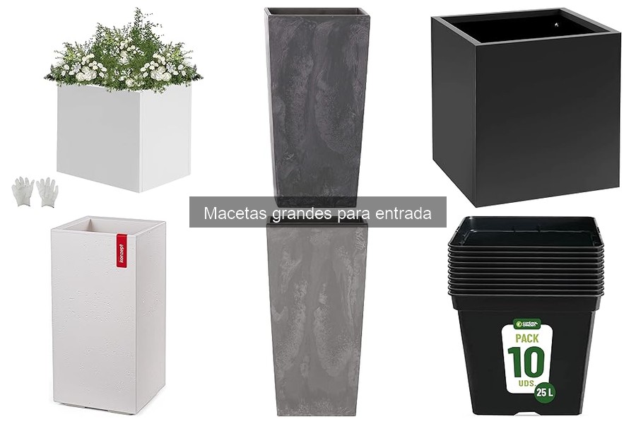 Alternativas a Macetas Grandes para Entradas: Jardineras y Más