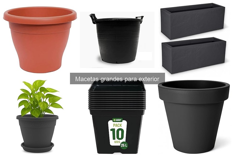Alternativas a Macetas Grandes para Exterior: Mejores Opciones