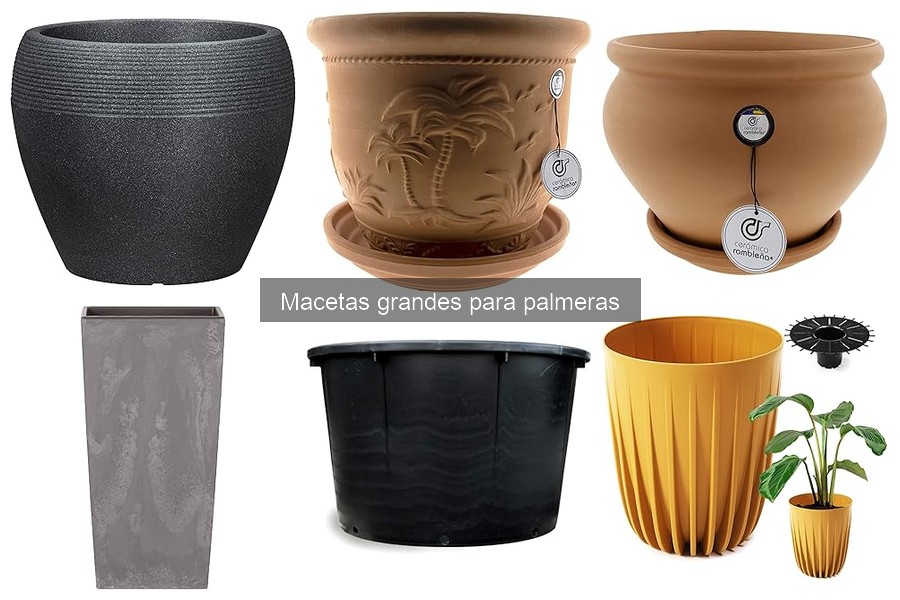 Alternativas a macetas grandes para palmeras: opciones efectivas
