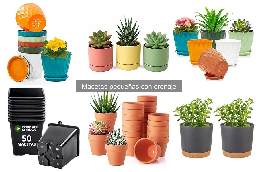 Alternativas a Macetas Pequeñas con Drenaje para Plantas