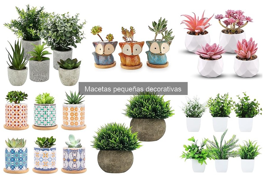 Alternativas a Macetas Pequeñas Decorativas para Plantas