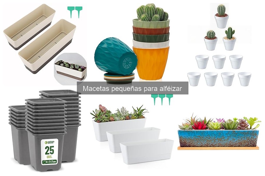 Alternativas a macetas pequeñas para alféizares: opciones creativas