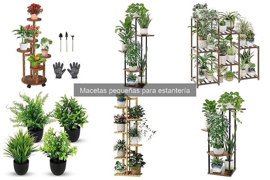 Alternativas a Macetas Pequeñas para Espacios Reducidos