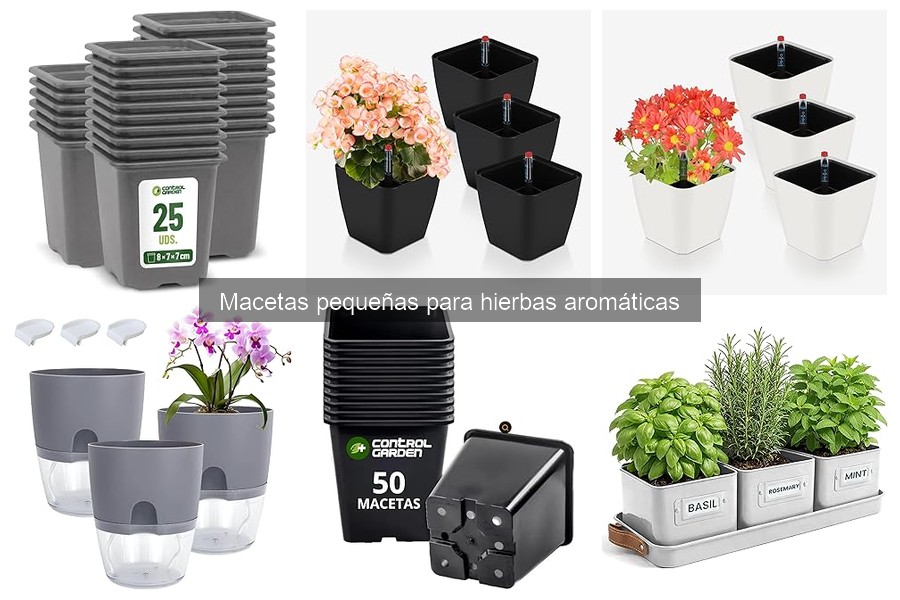 Alternativas a Macetas Pequeñas para Hierbas Aromáticas