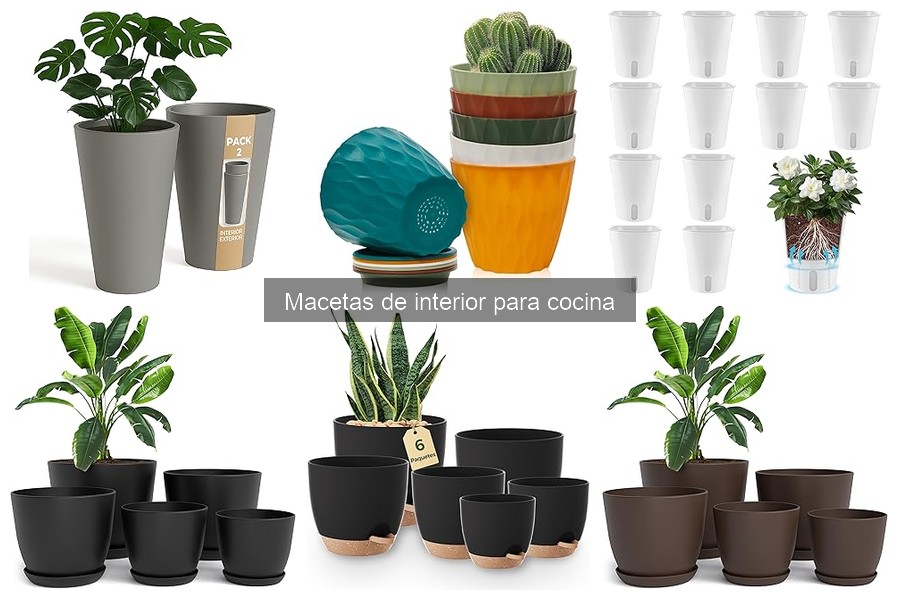 Alternativas a macetas tradicionales para cocina
