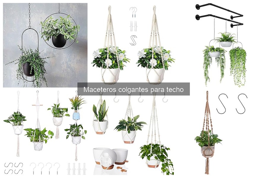 Alternativas a Maceteros Colgantes para Espacios Reducidos
