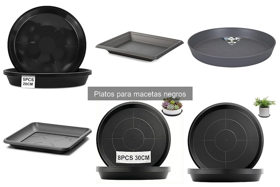 Alternativas a Platos para Macetas Negros: Opciones y Ventajas