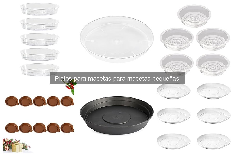 Alternativas a platos para macetas pequeñas: descubre opciones efectivas