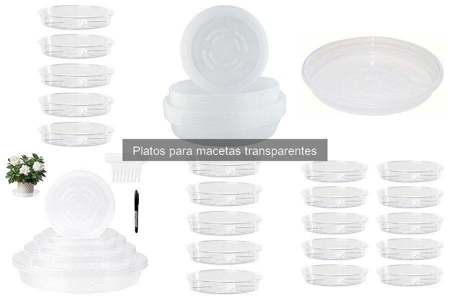 Alternativas a Platos Transparentes para Macetas