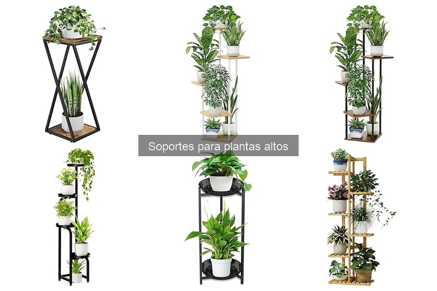 Alternativas a Soportes para Plantas Altos: Mejores Opciones