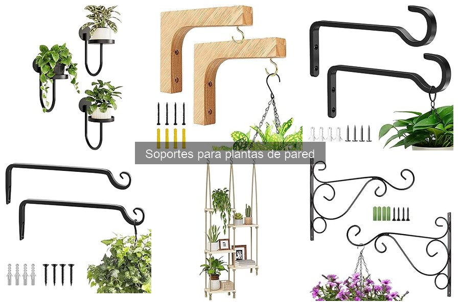 Alternativas a soportes para plantas de pared en decoración