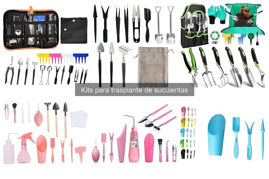 Alternativas al kit de trasplante de suculentas