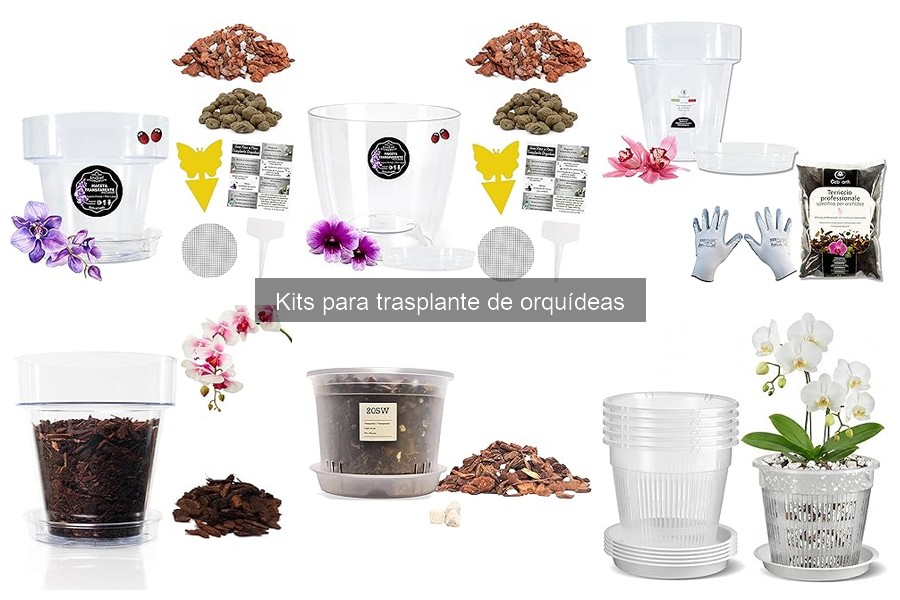 Alternativas al Kit para Trasplante de Orquídeas: Soluciones Prácticas
