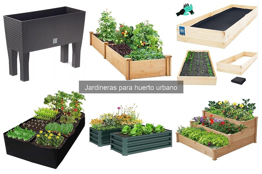 Alternativas creativas a jardineras para huerto urbano