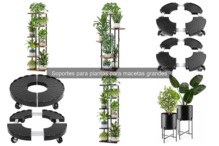 Alternativas creativas a los soportes para plantas grandes